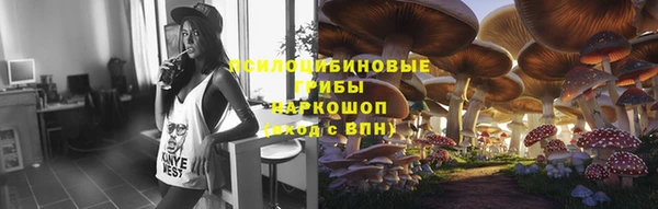 дмт Армянск