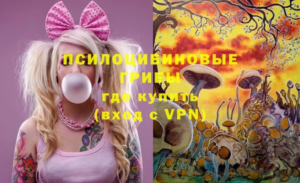 Альфа ПВП Арсеньев